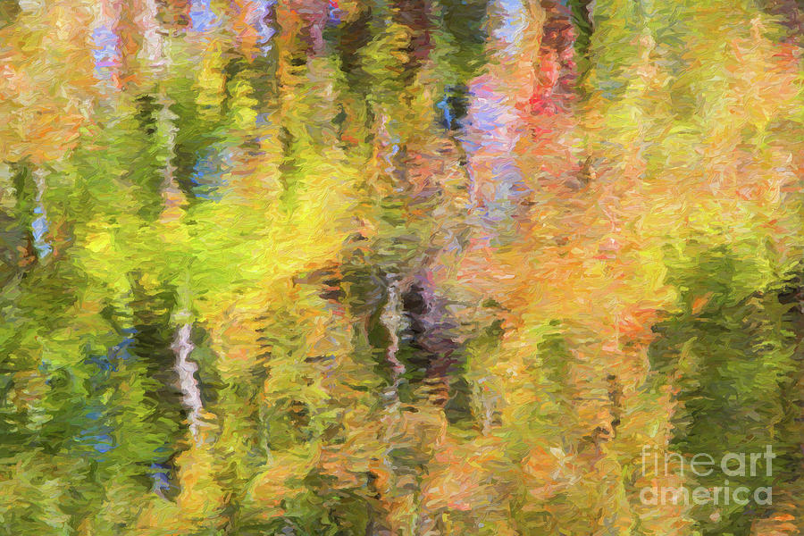 Abstract Photograph - Autumn Abstract by Robert Anastasi