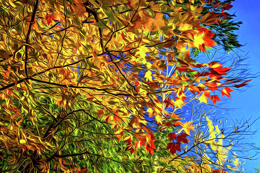 Autumn Abstract Photograph by Steve Harrington