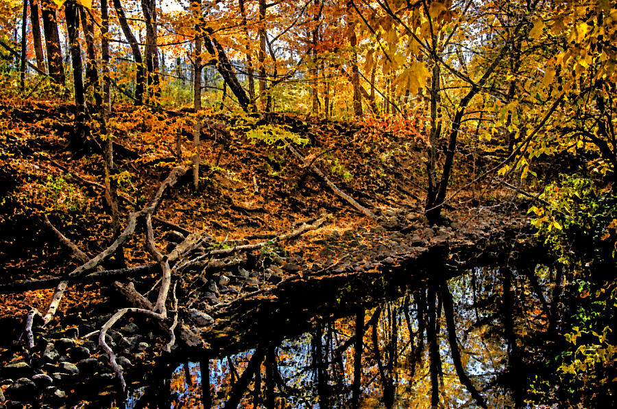 Autumn Abstract Photograph by Susan McMenamin