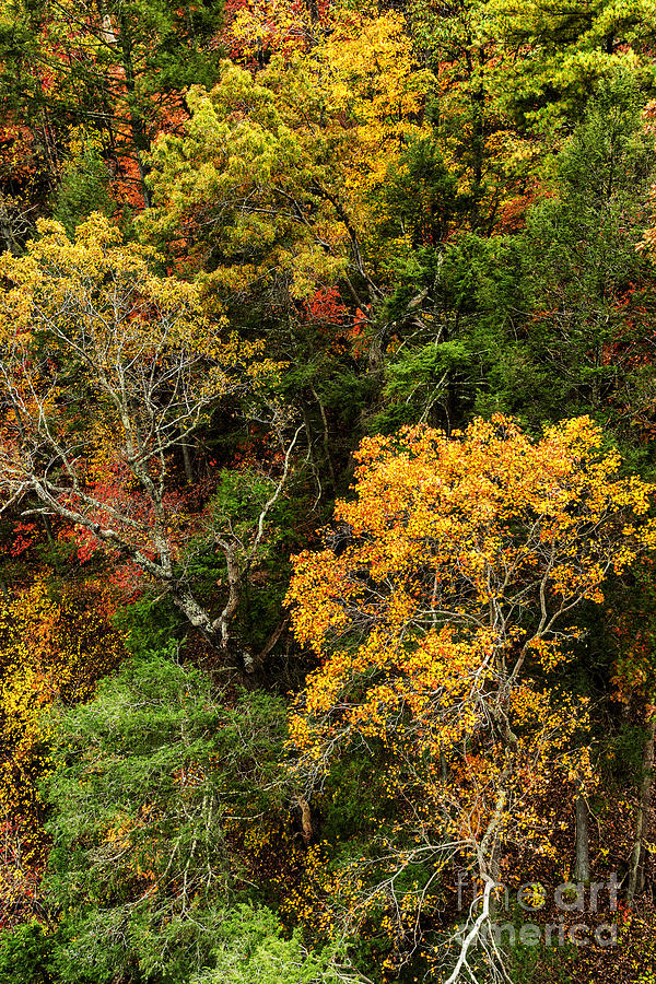 Autumn Aerial Blue Ridge Parkway Photograph by Thomas R Fletcher