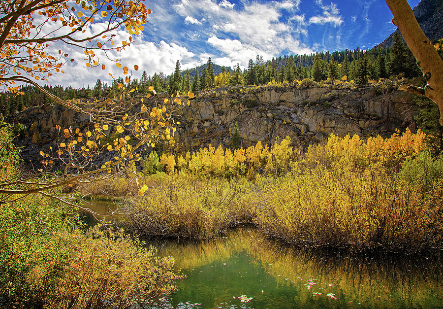 Autumn Along Bishop Creek Photograph by Lynn Bauer