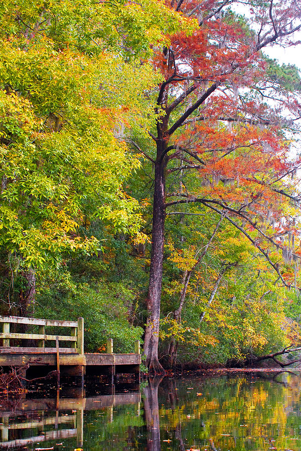 Autumn Along Brices Creek Photograph by Bob Decker