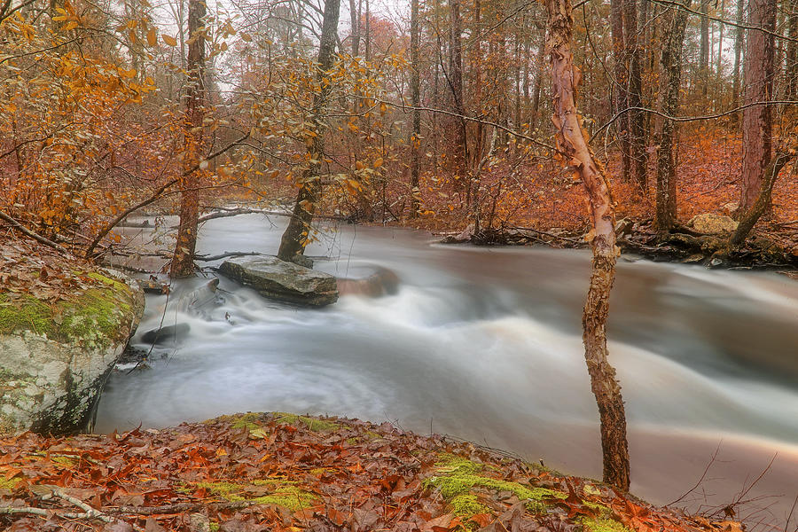 Autumn along Cedar Creek - Arkansas - Petit Jean State Park Photograph by Jason Politte