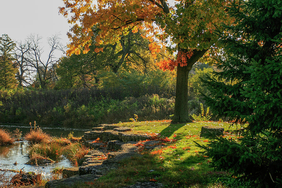 Autumn along Deer Creek in Forest Park Photograph by Garry McMichael