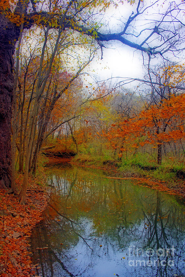 Nature Photograph - Autumn Along Pikes River by Kay Novy