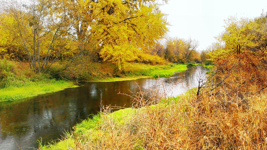 Autumn along the creek Photograph by Lkb Art And Photography