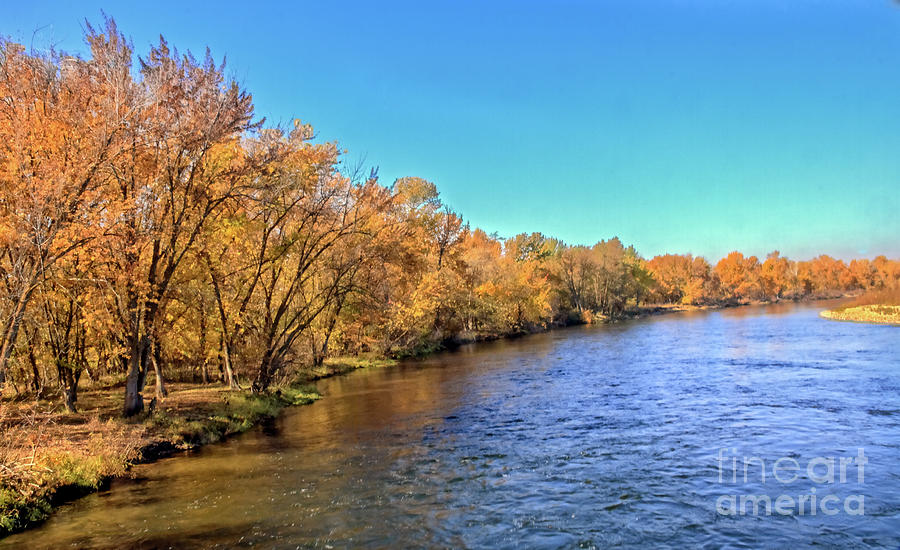 Autumn Along The Payette River Photograph by Robert Bales