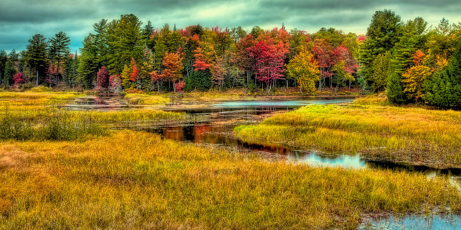 Autumn Along The River Photograph