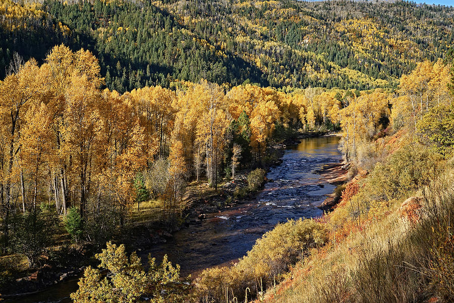 Autumn Along the River I Photograph by Leda Robertson