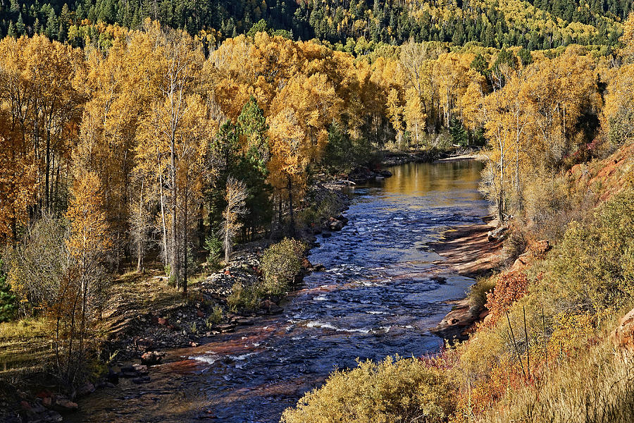 Autumn Along the River II Photograph by Leda Robertson