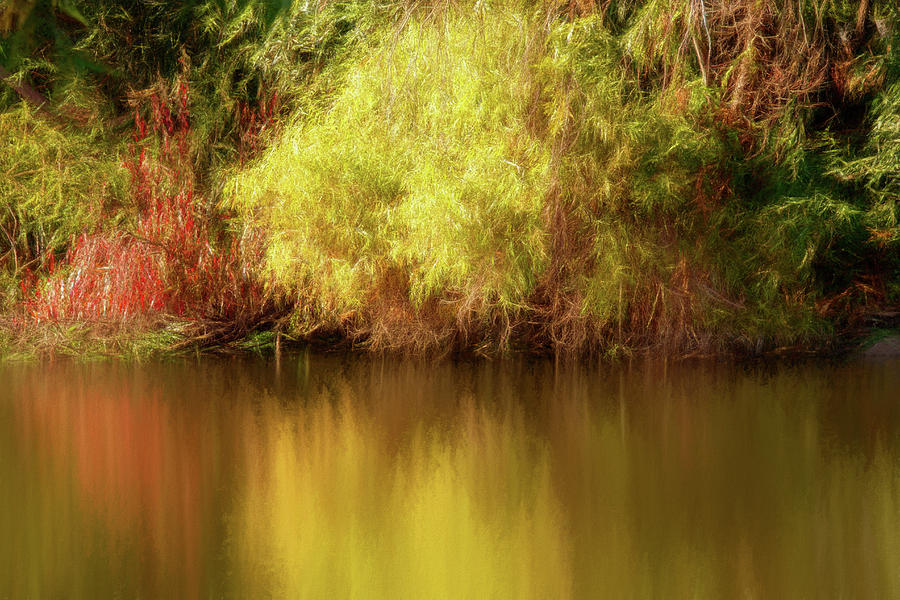 Autumn Along the Smith Canal Digital Art by Terry Davis