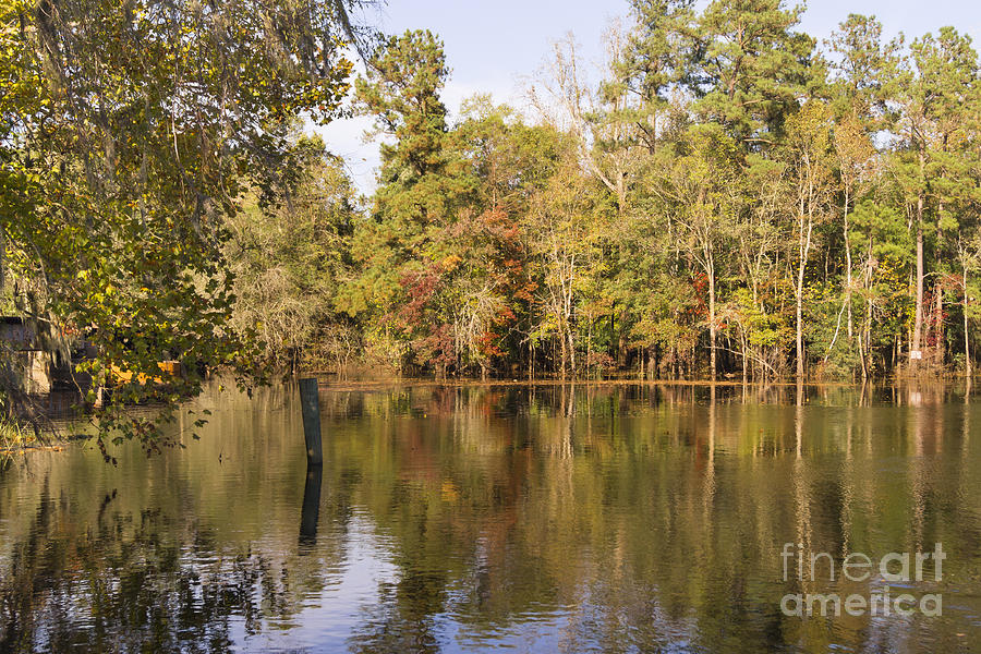 Autumn along the Waccamaw River in South Carolina Photograph by MM Anderson