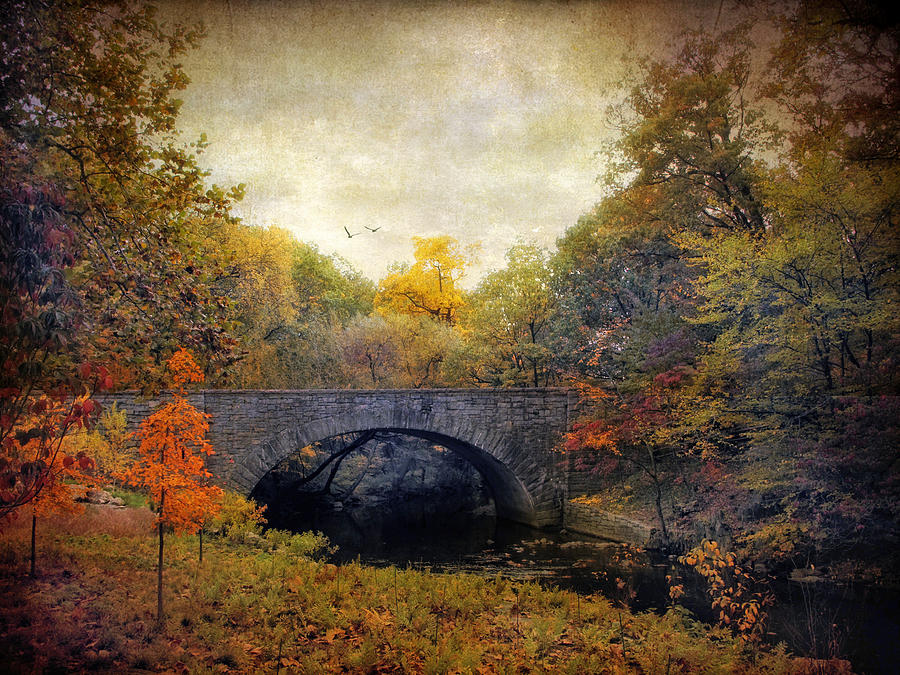 Autumn Ambiance Photograph by Jessica Jenney