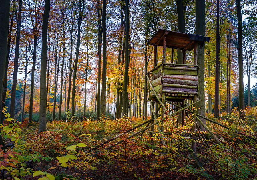Nature Photograph - Autumn and Hunting Tower by Mah FineArt