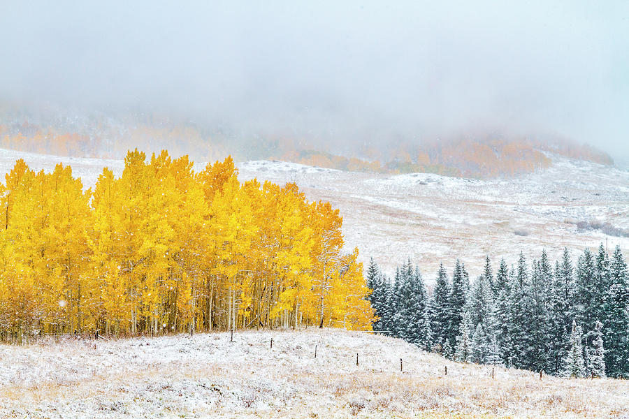 Autumn and Winter Collide Photograph by Teri Virbickis
