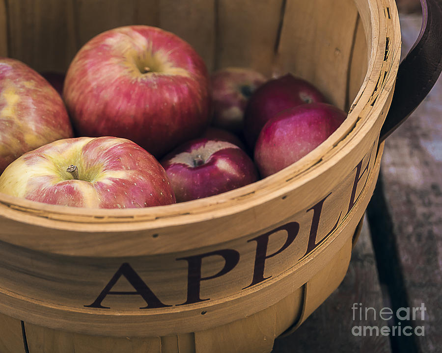 Autumn Apples in a Basket Photograph by Alissa Beth Photography