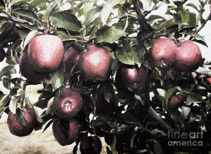 Apple Photograph - Autumn Apples - Luther Fine Art by Luther Fine Art