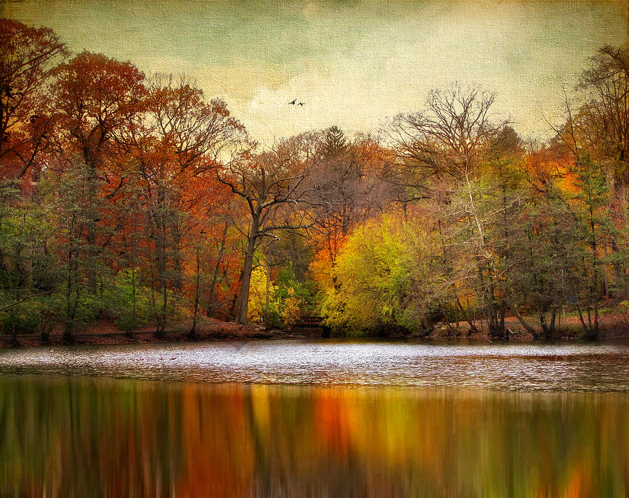 Tree Photograph - Autumn Arises 2 by Jessica Jenney