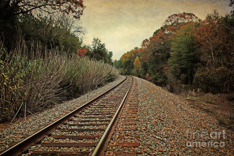 Autumn Around the Bend Photograph by Lisa Porier