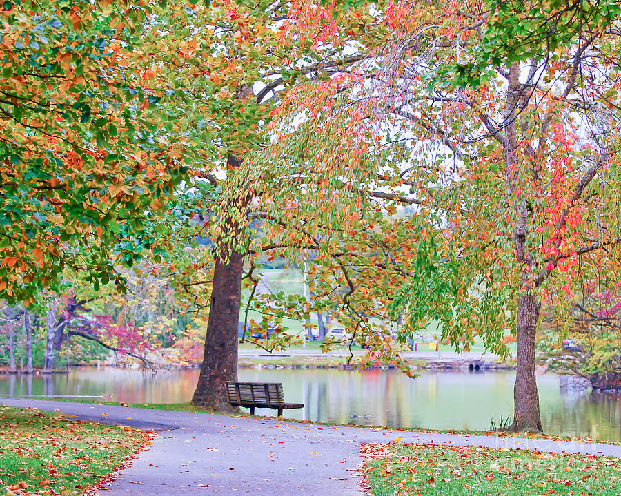 Autumn Arrives at the Duck Pond Photograph by Kerri Farley