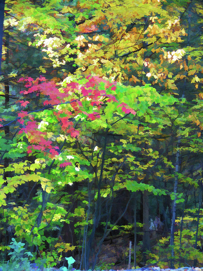 Autumn arrives Painting by Jeelan Clark