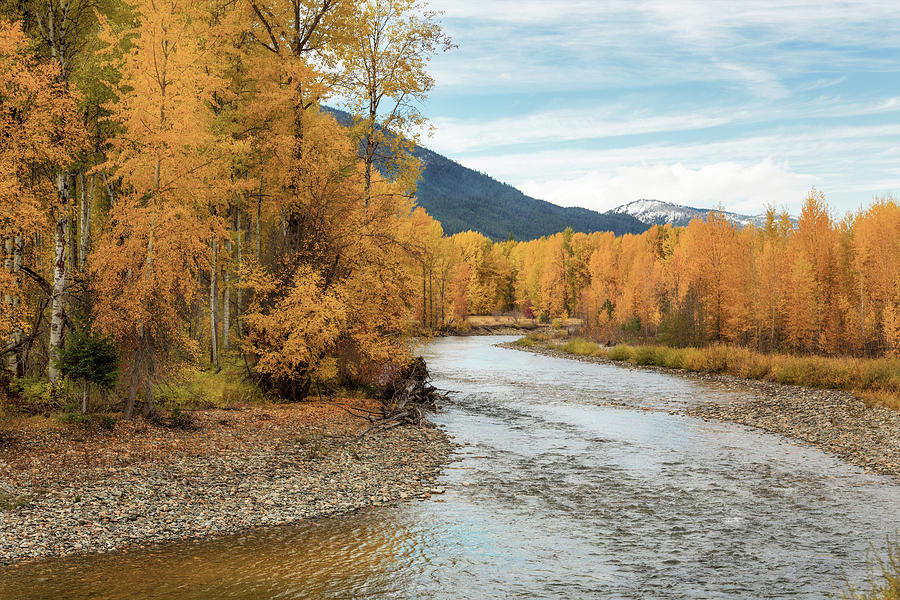 Autumn Aspen By The River Photograph by Mary Jo Allen