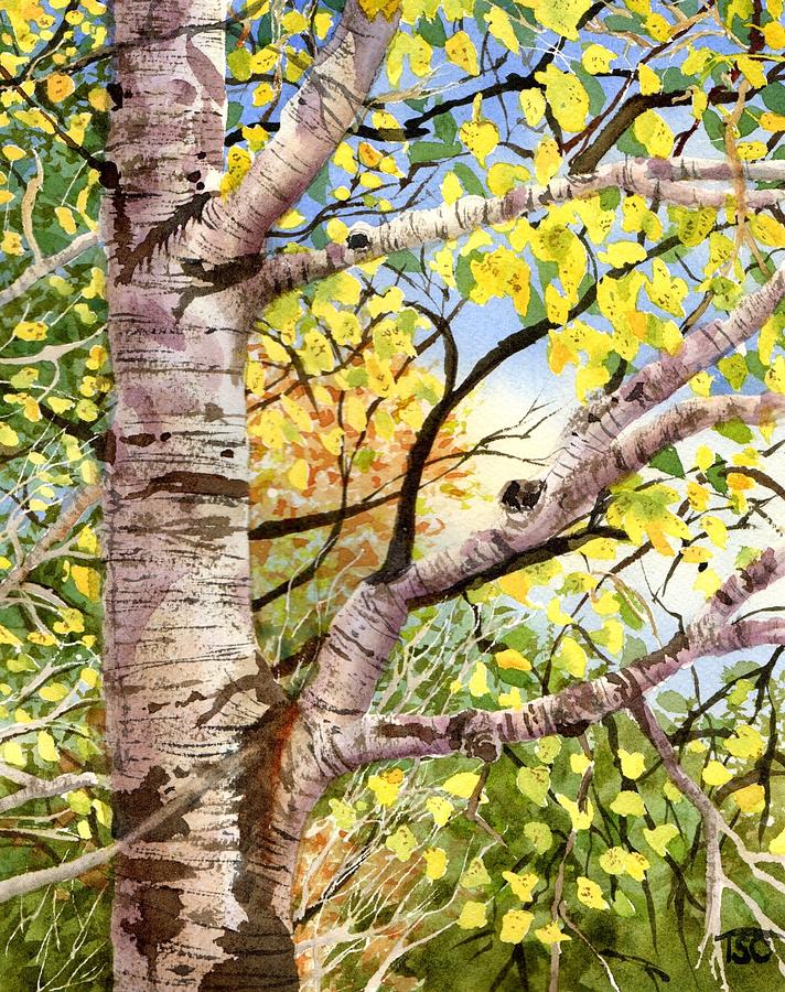 Autumn Aspen Painting by Tammy Crawford