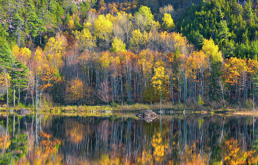 Autumn at Beaver Dam Pond Photograph by Dennis Kowalewski