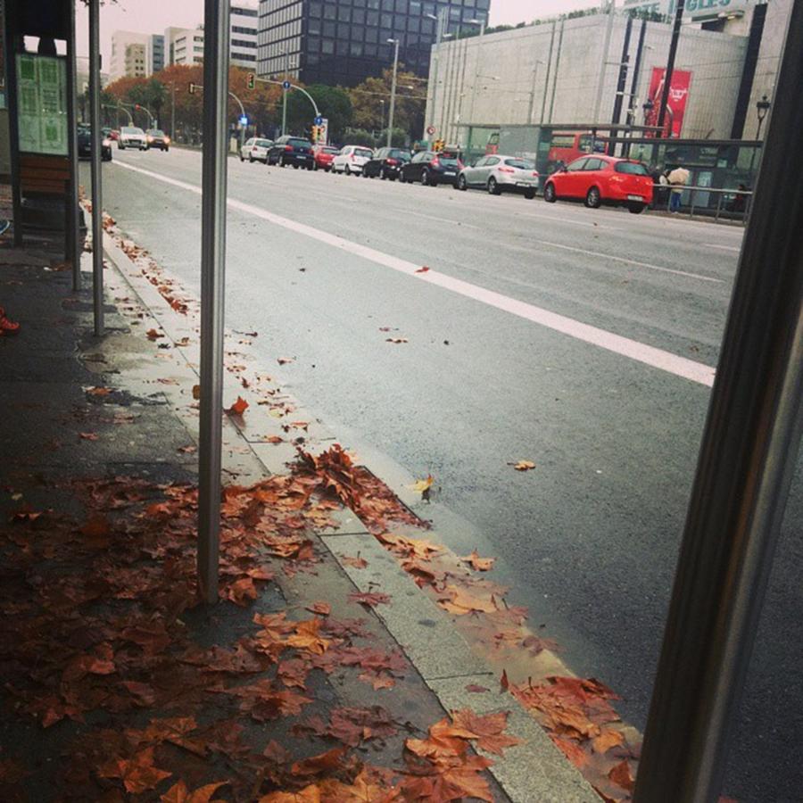 Barcelona Photograph - Autumn... At Bus Stop Xd

#instabcn by Veronica Stark