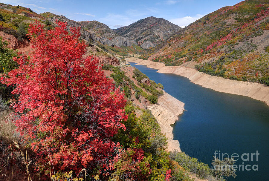 Autumn at Causey Reservoir - Utah Photograph by Gary Whitton