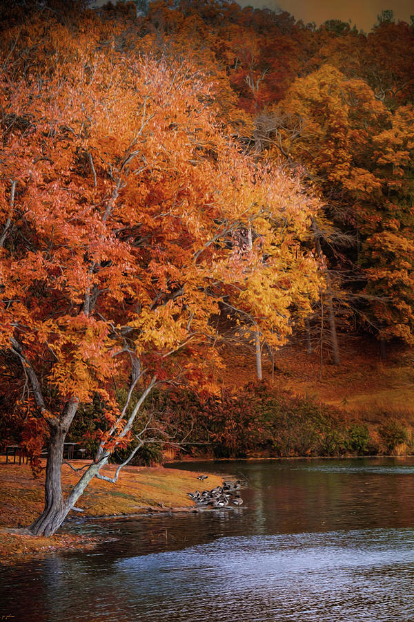Autumn At Chickasaw Lake Photograph by Jai Johnson
