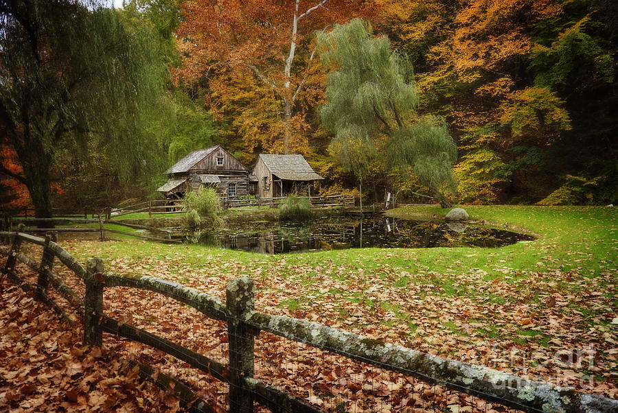 Fall Photograph - Autumn At Cuttalossa Farm V by Debra Fedchin