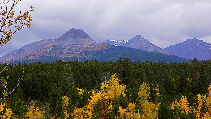 Autumn at Dancing Woman Mountain Photograph by Tracey Vivar