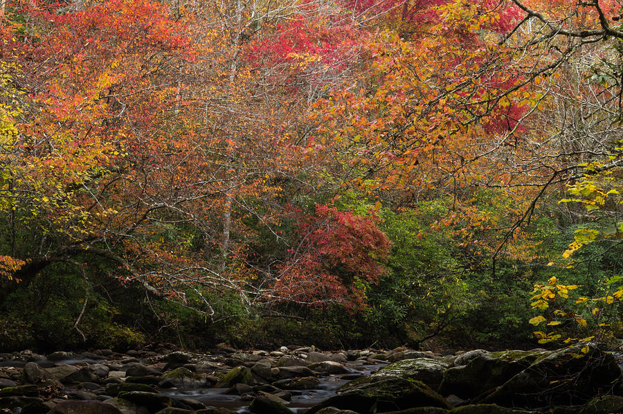 Autumn Photograph - Autumn At Deep Creek by William Shackelford Autumn Photograph - Autumn At Deep Creek by William Shackelford