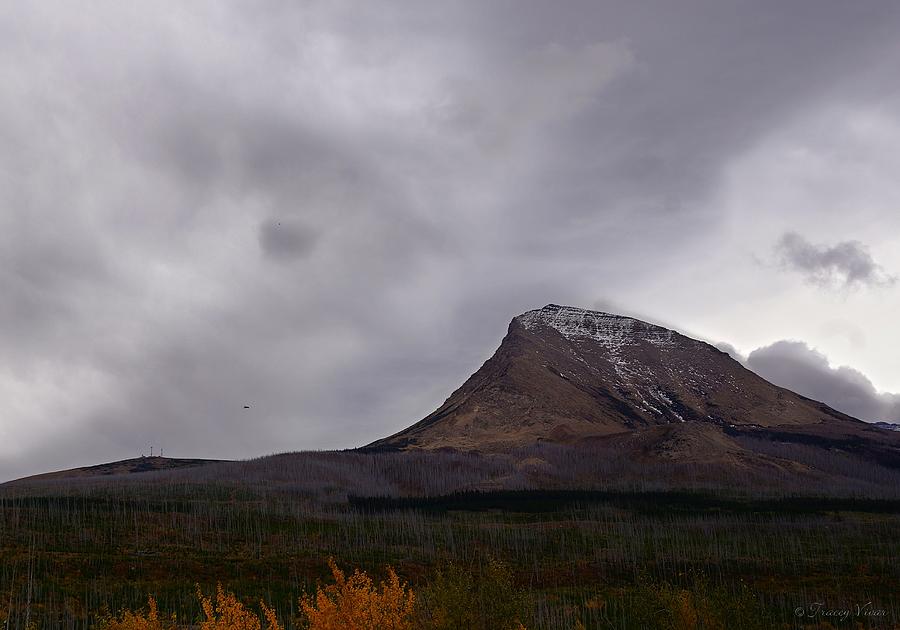Autumn at Divide Mountain, Rainstorm Photograph by Tracey Vivar