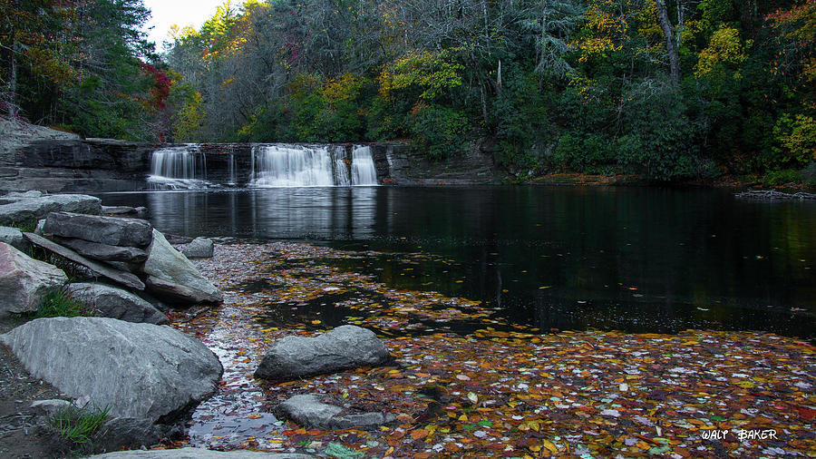 Autumn at DuPont Forest Photograph by Walt Baker