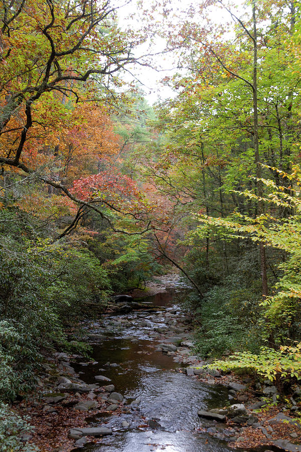 Autumn at Fires Creek Photograph by Kelly Kennon