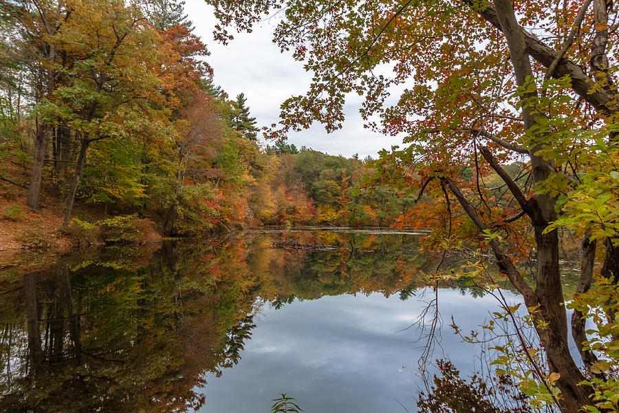 Autumn at Hillside Pond Photograph by Brian MacLean