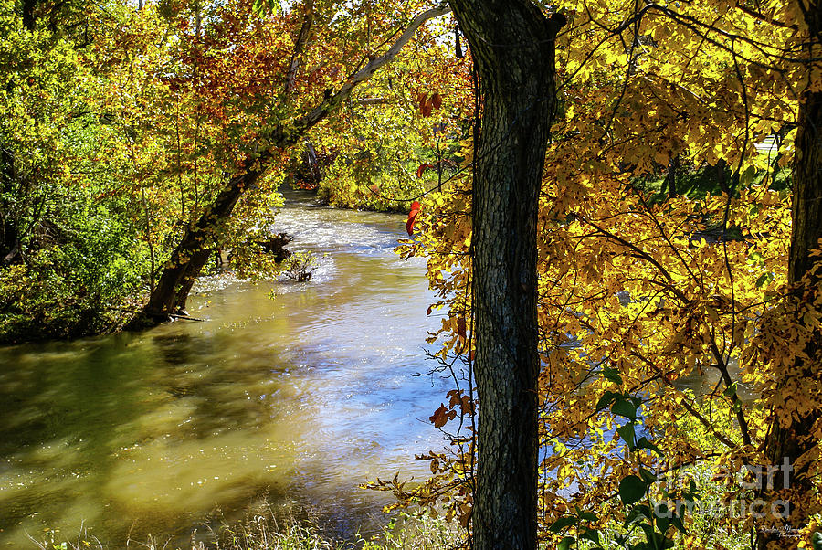 Autumn At James River Bend Photograph by Jennifer White