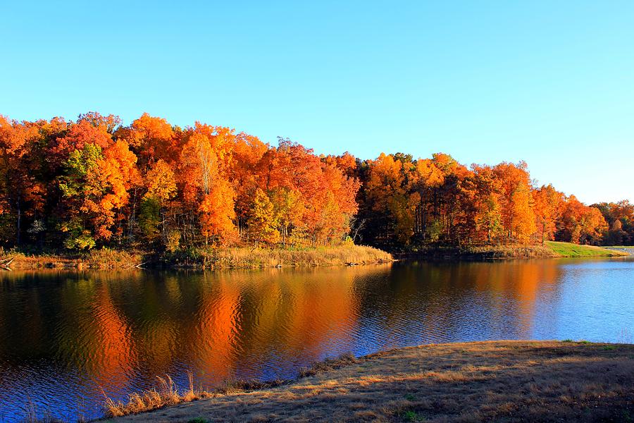Fall Photograph - Autumn at Lake Boutin by Robert Cox