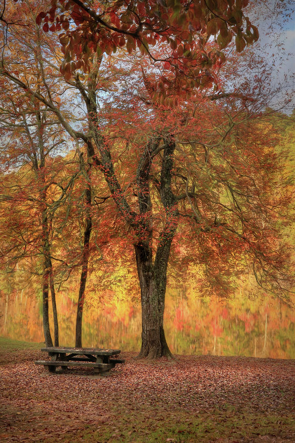 Autumn at Lake Cherokee Photograph by Lori Deiter