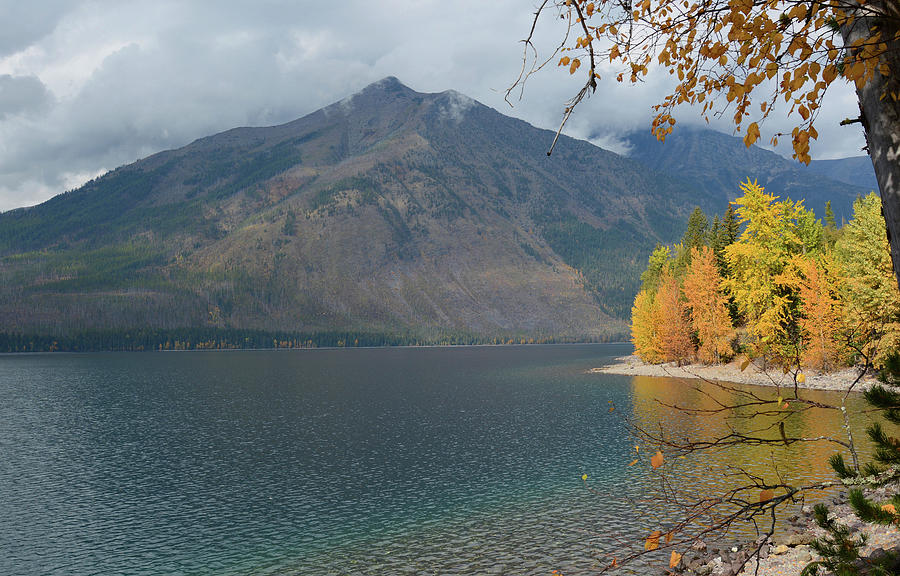 Autumn at Lake McDonald Photograph by Whispering Peaks Photography