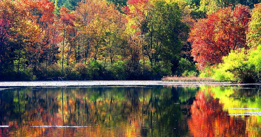 Autumn At Laurel Lake Photograph by Angela Davies