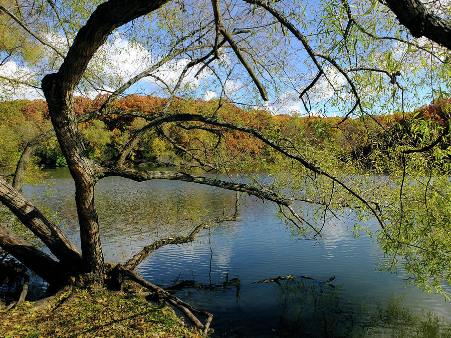 Autumn at Lemon Lake Photograph by Scott Kingery
