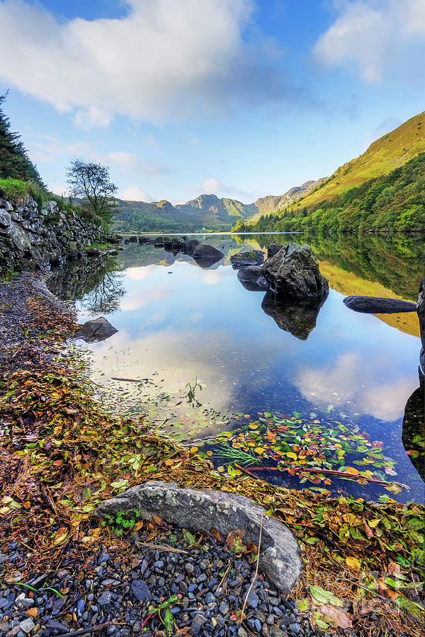 Nature Photograph - Autumn At Llyn Crafnant by Ian Mitchell