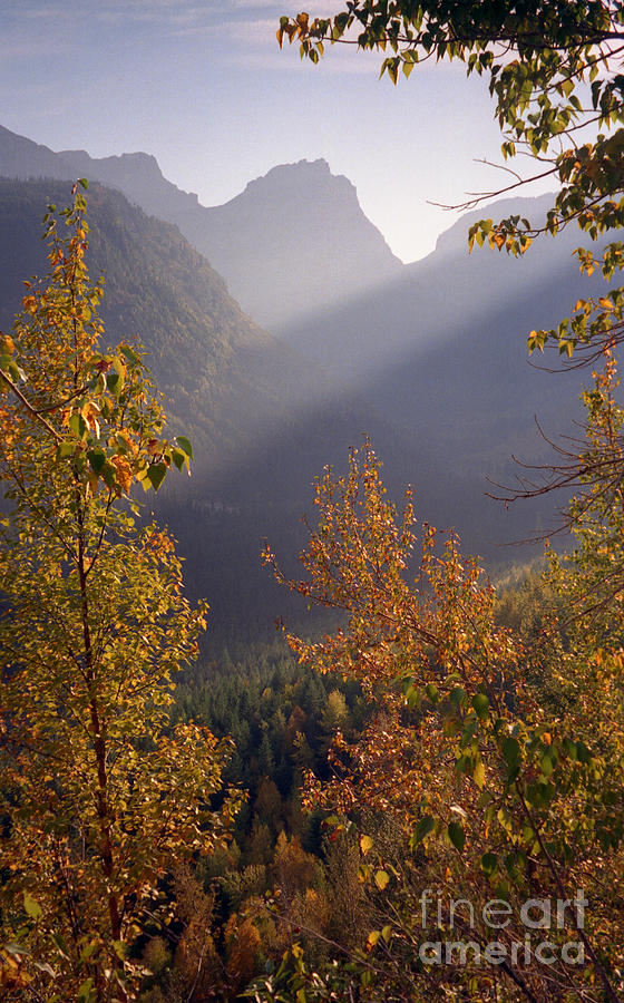 Autumn at Logan Pass Photograph by Richard Rizzo