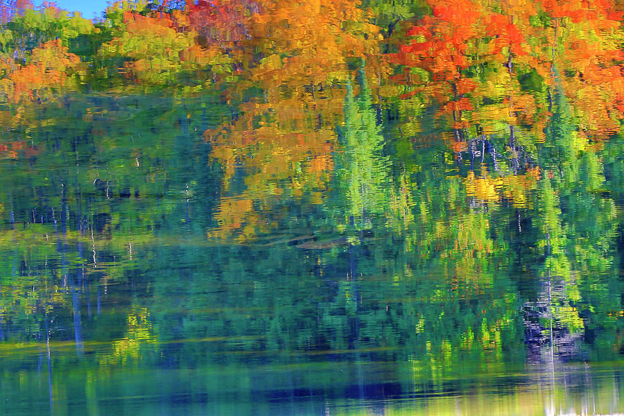 Autumn at McCarstons Lake Photograph by Gary Hall