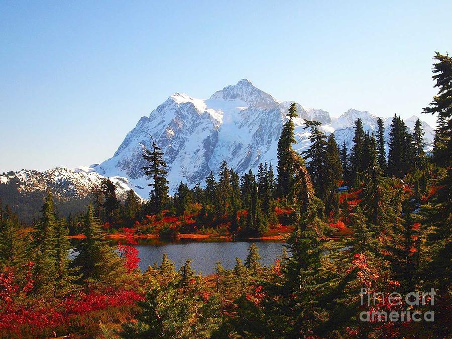 Autumn at Mt. Shuksan Photograph by Sandra Peery - Fine Art America