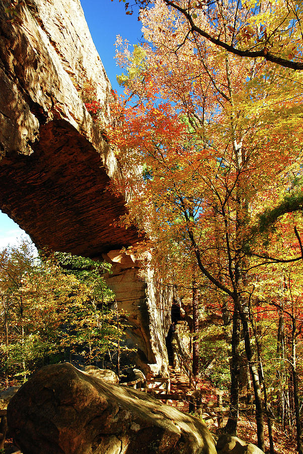 Nature Photograph - Autumn at Natural Bridge State Resort by James Kirkikis