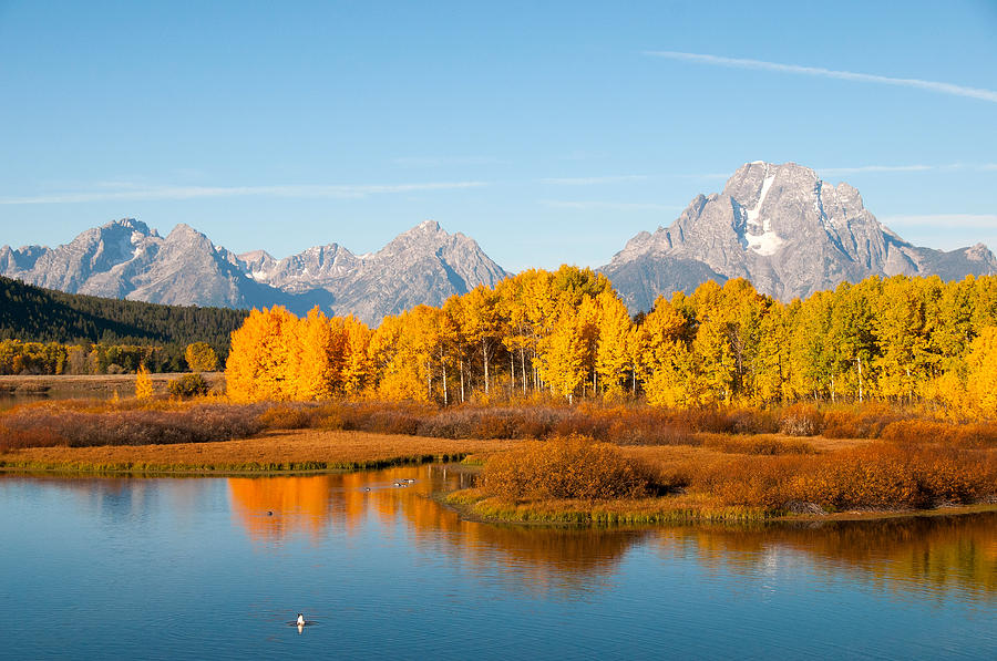 Autumn at Oxbow Bend Photograph by Steve Stuller